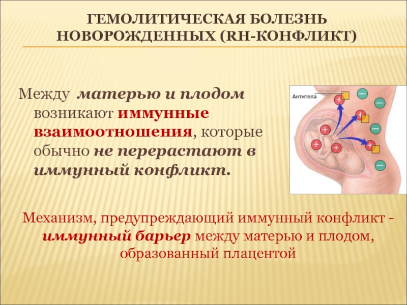 2 картина крови при гемолитической болезни новорожденных