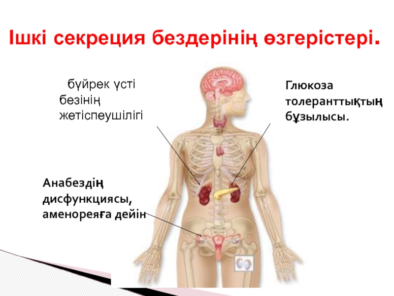 Ішкі секреция бездерінің