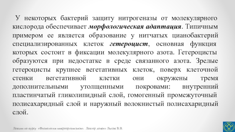 Азотфиксацию осуществляют. Фермент нитрогеназа. Нитрогеназа функции. Обязательное условие существование нитрогеназы.. Нитрогеназа фиксация азота.