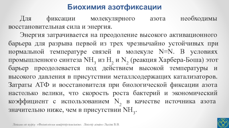 Процесс азотфиксации. Биохимия азотфиксации. Молекулярный механизм фиксации азота.. Молекулярные механизмы биологической фиксации азота. Биологическая фиксация молекулярного азота.