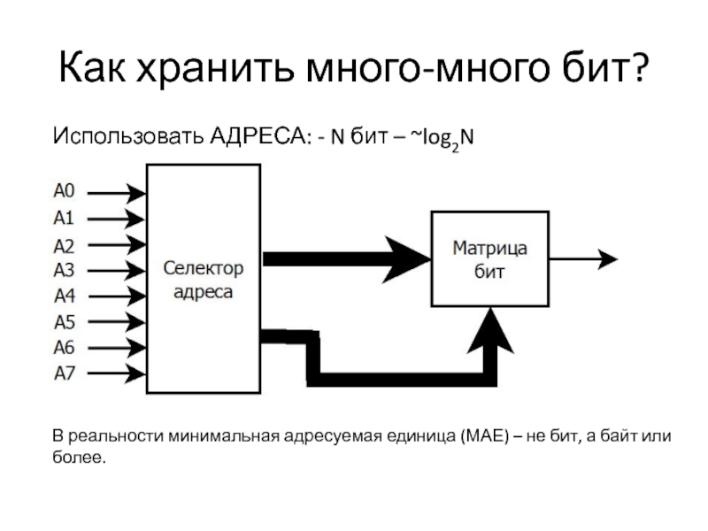 Много бит