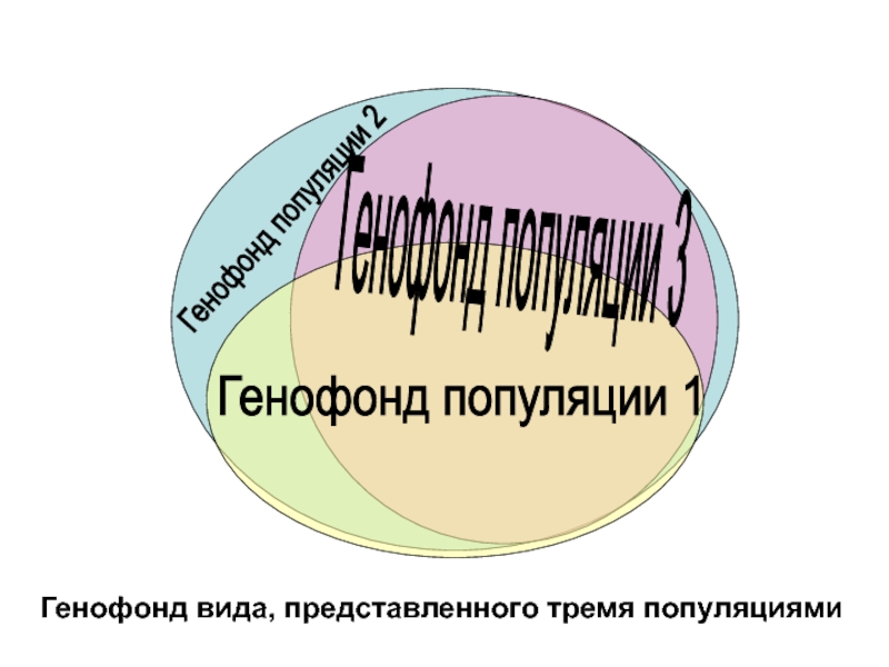 Генофонд это в географии