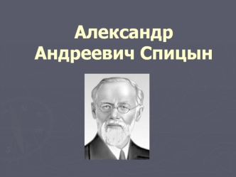 Александр Андреевич Спицын