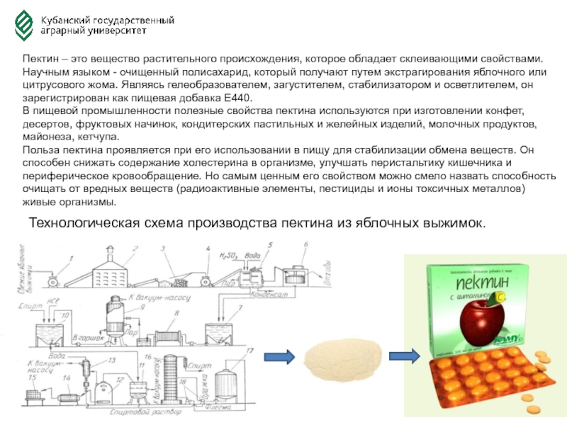 Производство пектина из яблок бизнес план