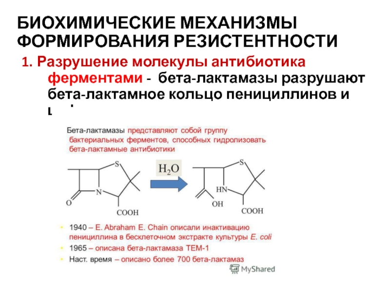 Антибиотики разрушают. Механизм бета лактамных антибиотиков. Бета-лактамные антибиотики формула. Бета лактамное кольцо антибиотики. Бета лактамные антибиотики пенициллины.