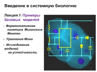 Примеры базовых моделей. Ферментативная кинетика Михаэлиса Ментен. Уравнение Моно. Исследование моделей на устойчивость