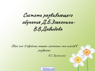 Система развивающего обучения Д.Б.Эльконина- В.В.Давыдова