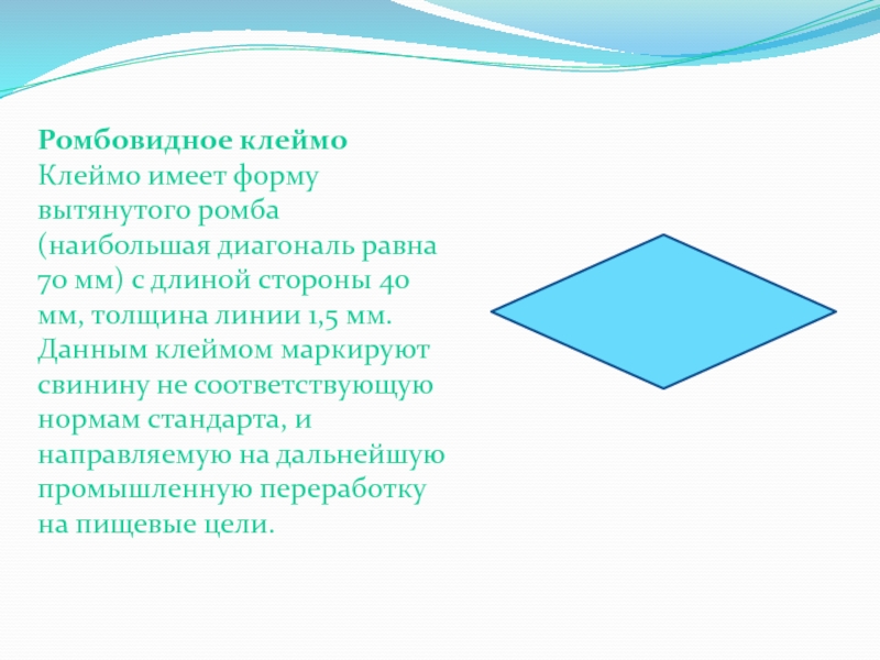 Имеет форму. Свинина ромбовидное клеймо.. Формы растянутого ромба. Ромбообразная форма. Какую форму имеет ромб.