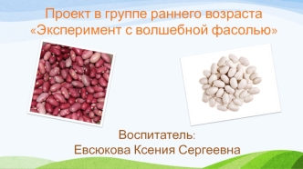 Проект в группе раннего возраста Эксперимент с волшебной фасолью