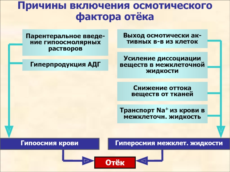 Гипергидратация патогенез