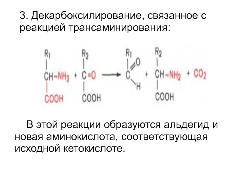 Декарбоксилирование аминокислот реакция. Реакция декарбоксилирования аминокислот. Реакция трансаминирования триптофана. Реакция трансаминирования аминокислот. Трансаминирование триптофана реакция.