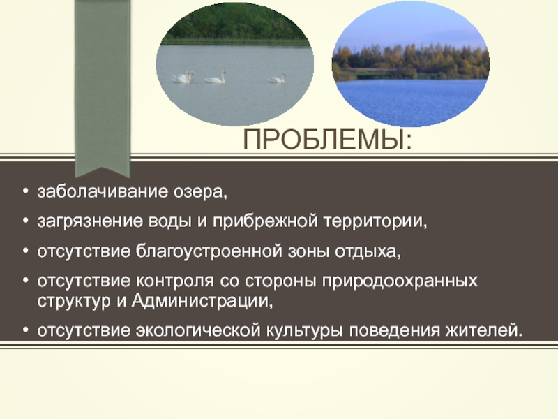 Проблемы озера. Проблемы озер. Причины загрязнения озер. Заболачивание озёр причины. Загрязнение озер доклад.