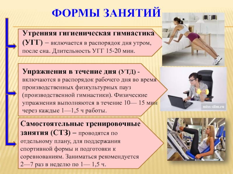 Контрольная работа по теме Атлетическая гимнастика как вид самостоятельных занятий физической культурой