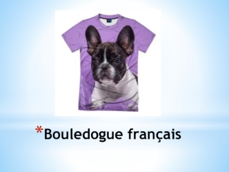 Bouledogue français