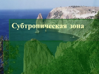Субтропическая зона на побережье Черного моря