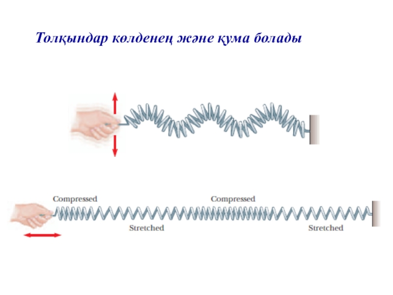 Толқындық қозғалыс 9 сынып. Қума толқын дегеніміз не. Толқындық қозғалыс презентация. Электромагниттік толқындар презентация. Фаза толқын.