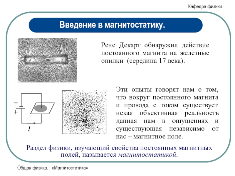 На рисунке вид сверху показана картина линий магнитного поля полученная с помощью железных опилок