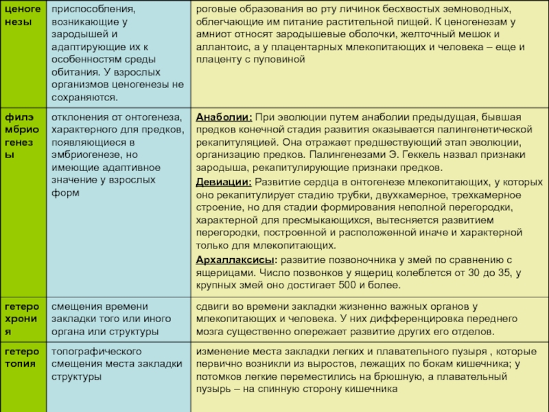 Взрослый значение. Три этапа пост эмбр развития. Ценогенезы таблица приспособительных значений.