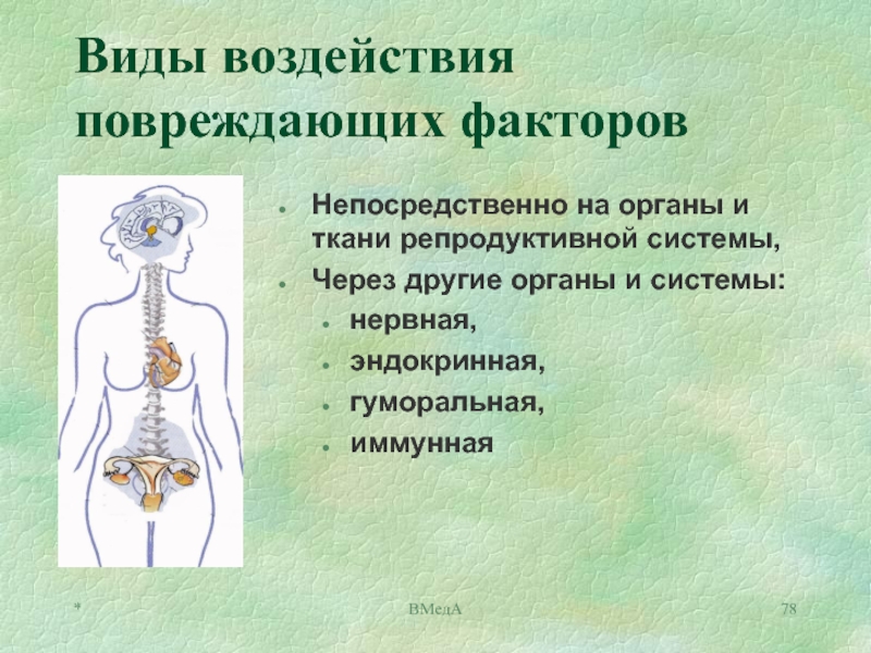 Эндокринная система гайворонский презентация