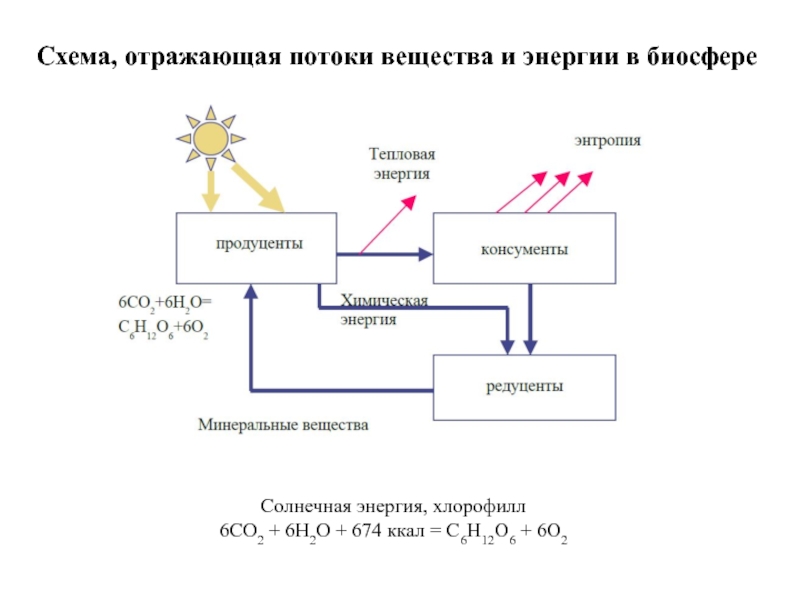 Круговорот веществ и энергии в биосфере схема