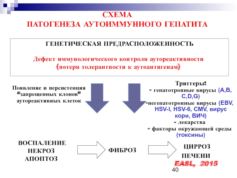 Аутоиммунный гепатит патогенез схема