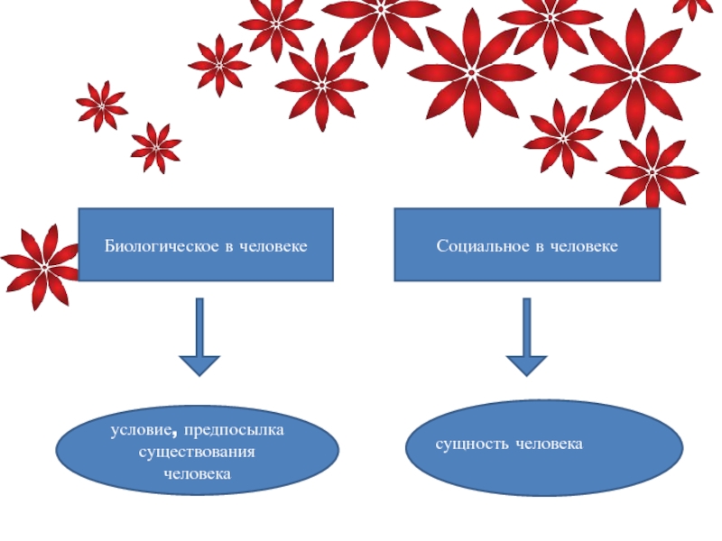 Человек в системе социальных связей презентация