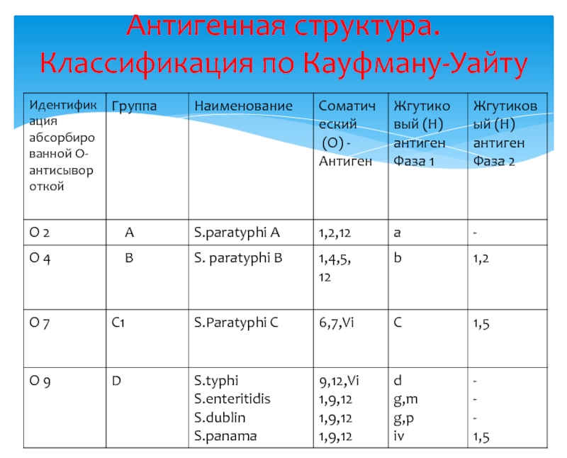 Схема кауфмана уайта сальмонелл