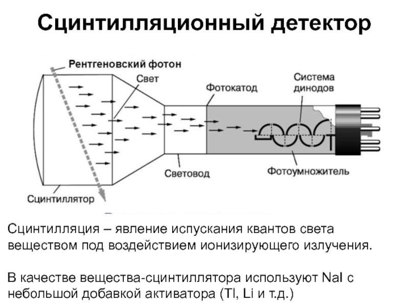 Зафиксированное на пленке изображение объекта возникающее при взаимодействии рентгеновских лучей это