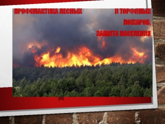 Профилактика лесных и торфяных пожаров, защита населения