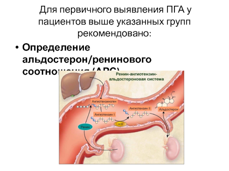 Первично выявленный. Соотношение ренина и альдостерона. Альдостерон, ренин,альдостерон-рениновое соотношение. Нормы альдостерона и ренина. Ренин альдостерон соотношение.