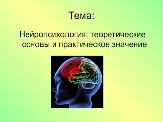 Нейропсихология: теоретические основы и практическое значение