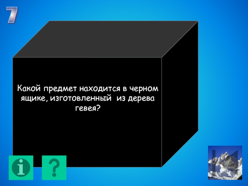 В черном ящике находится фотография полуводного зверька