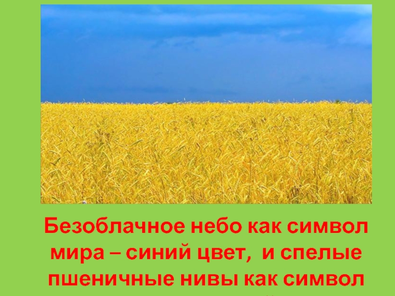 Реферат по теме Народное хозяйство Украины