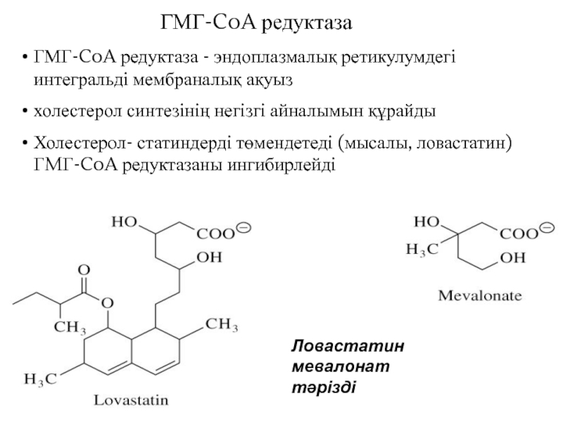 Лечение аденомы ингибиторами редуктазы