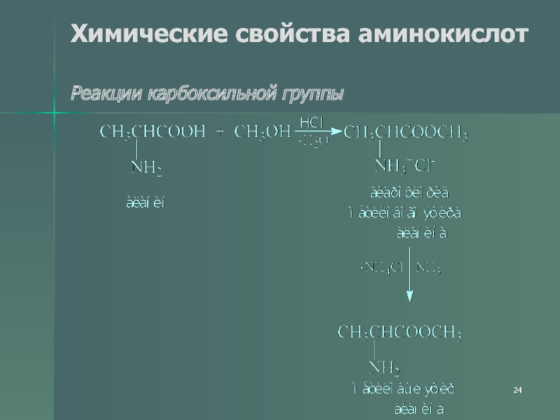 Химические свойства аминокислот. Хим свойства аминокислот. Амины химические свойства. Химические свойства аминоуксусной кислоты.