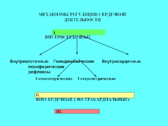 Механизмы регуляции сердечной деятельности