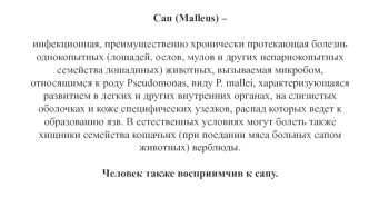 Сап (Malleus)