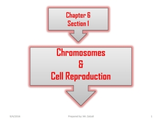 Chromosomes. (Chapter 6.1)