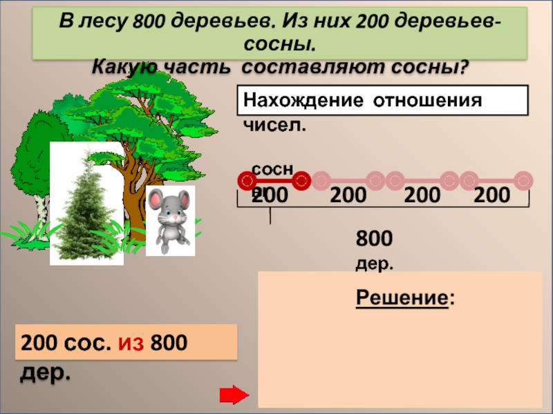 Дерева число. Леса какие сосна прописи. 200 Деревьев. Леса какие сосновые прописи. Составьте предложения леса какие?(сосна).