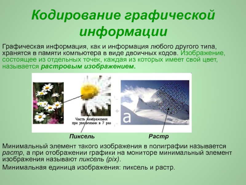 Растровым называется графическое изображение в котором базовым элементом изображения является