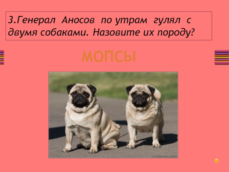 Как назвать собаку. Как можно назвать собаку девочку МОПСА. Как зовут собаку а4. У своей собаки своя кличка пословица.