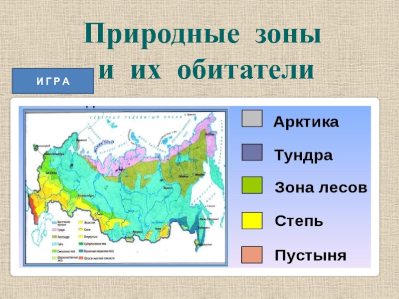 Какая природная зона занимает меньше всего. Природные зоны. Карта природных зон. Карта природных зон России. Природные зонытроссии.