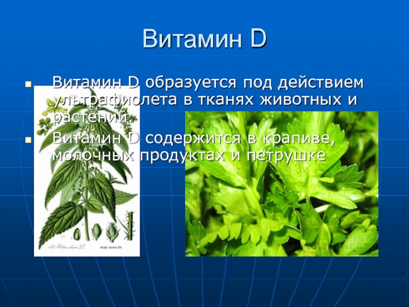 Образована под. Витамины для растений. Витамин d в растениях. Растения содержащие витамин d. Витамины содержащиеся в растениях.