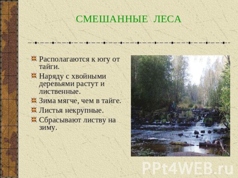 Зона лесов 4 класс. Рассказ о смешанных лесах. Смешанные леса 4 класс. Презентация смешанные леса 4 класс. Смешанные леса 4 класс окружающий мир.