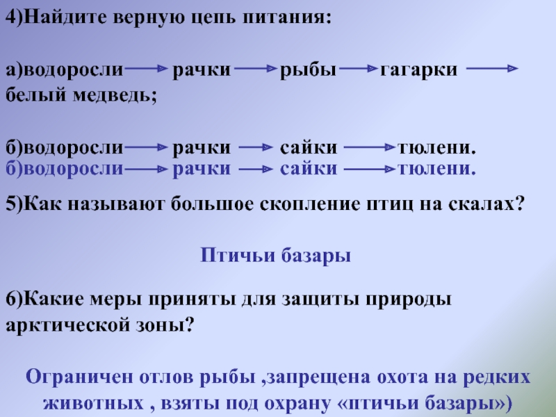 Цепь питания арктической зоны