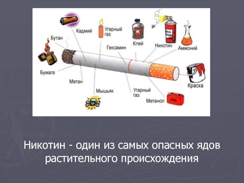 Индивидуальный проект курение