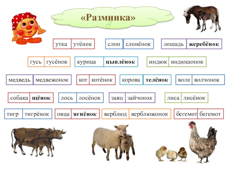 Подберите слова по образцу и запишите их разделите слова для переноса коза слон тигр