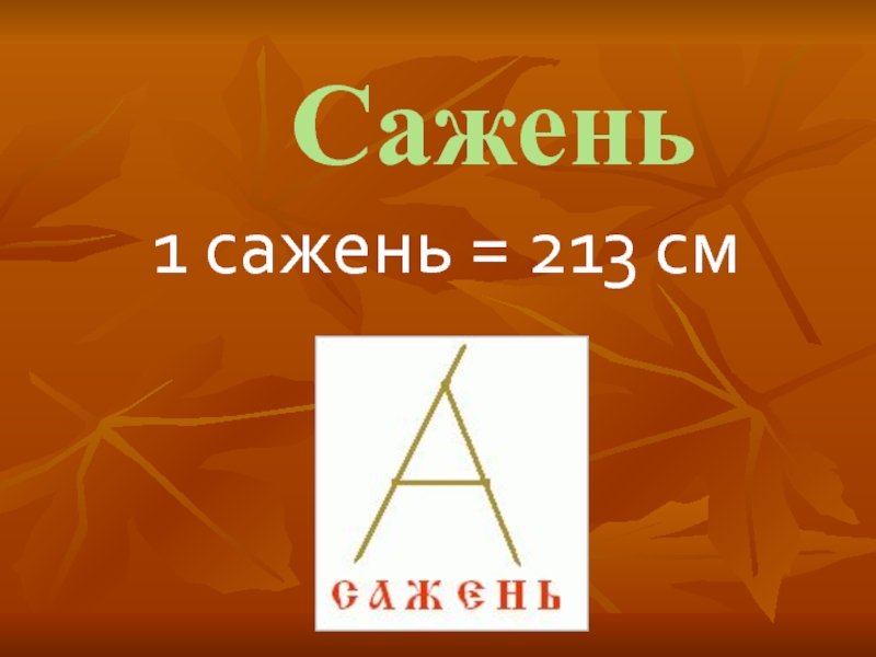 Сажень ударение. Сажень 213 см. 213 Сантиметров. Сажень цена, елка, сосна, туя.