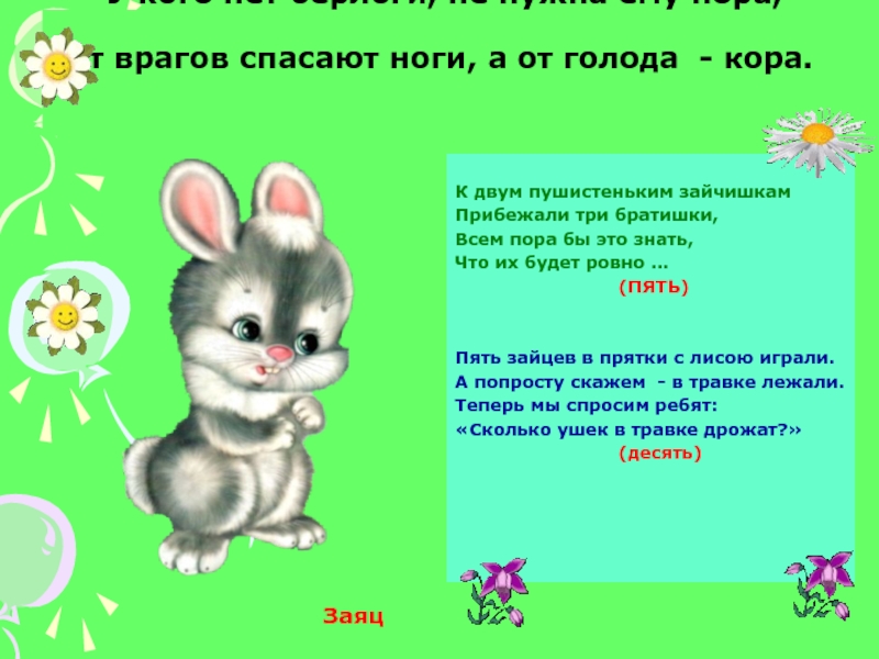 Сибирское прозвище зайца 5 букв