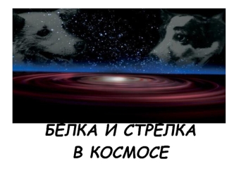 belka-i-strelka-v-kosmose